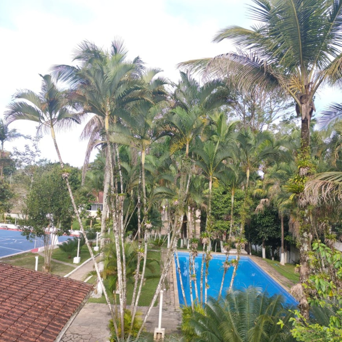 Piscina cercada por palmeiras e jardins da unidade em Itanhaém.