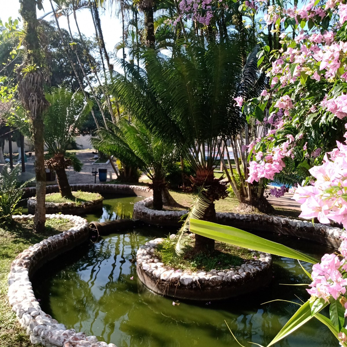 Jardim com lago e flores na unidade de Itanhaém.