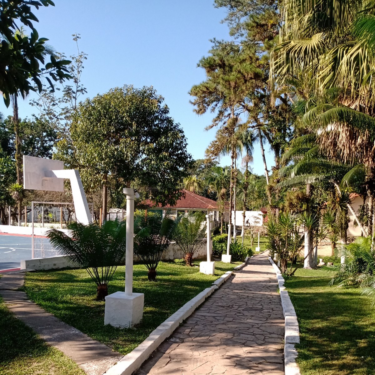 Caminho arborizado e jardins próximos à quadra.